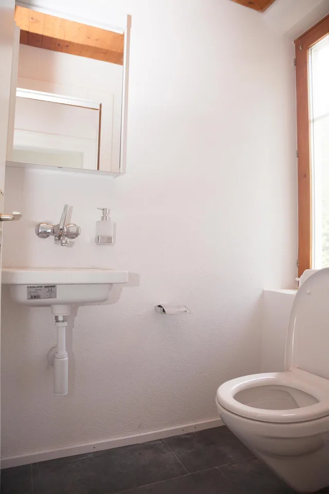 charmante 3.5-Zimmerwohnung in Tamins