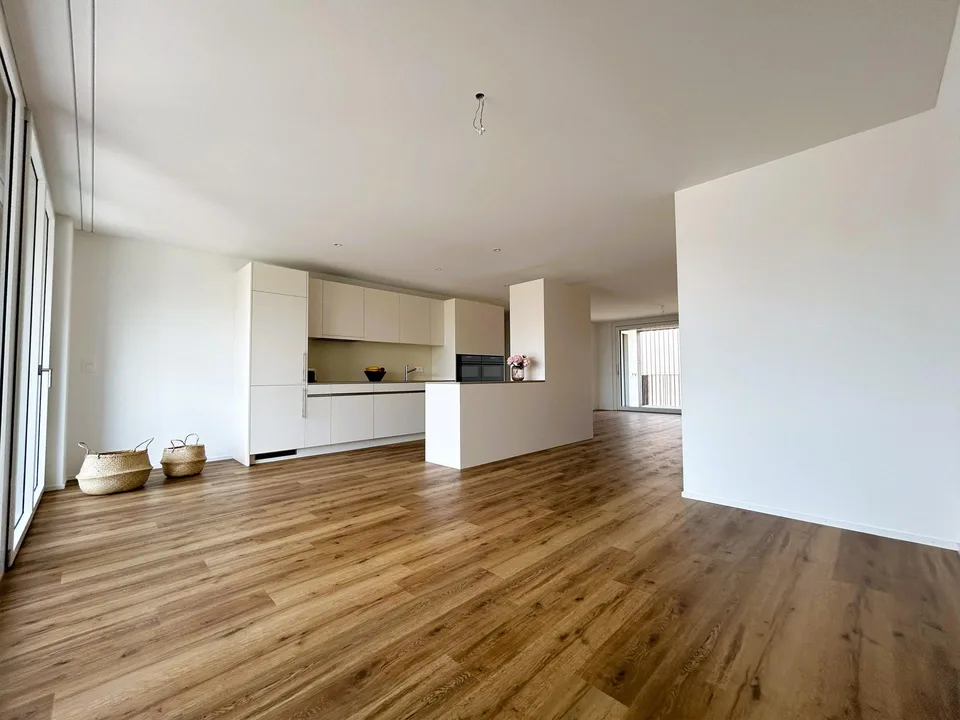 4.5 ZI WOHNUNG OG1