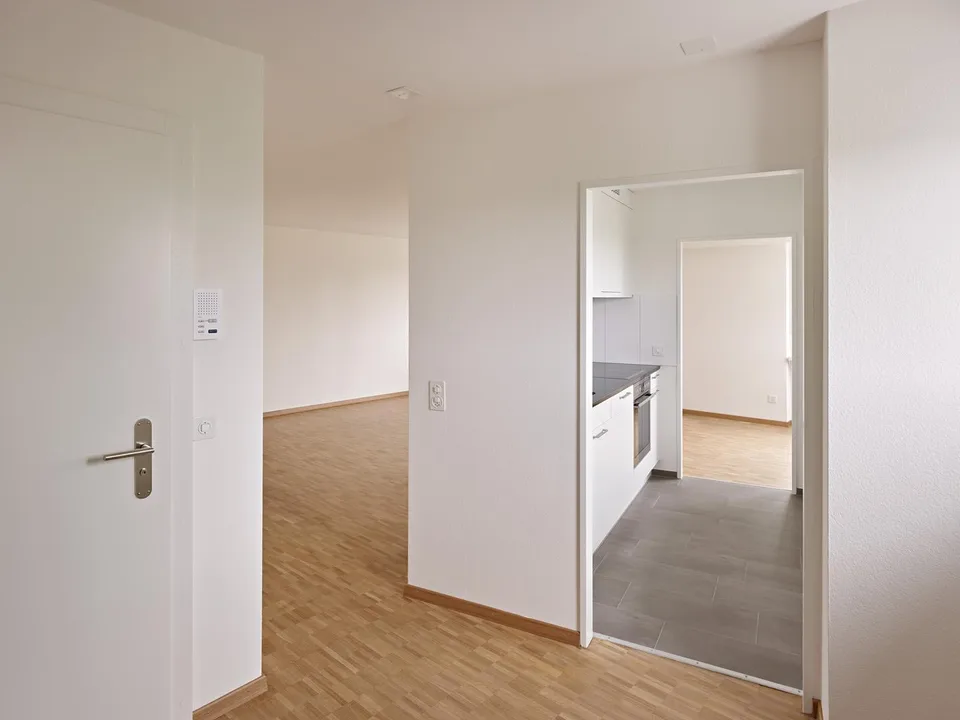 4.5 Zimmerwohnung in Winterthur
