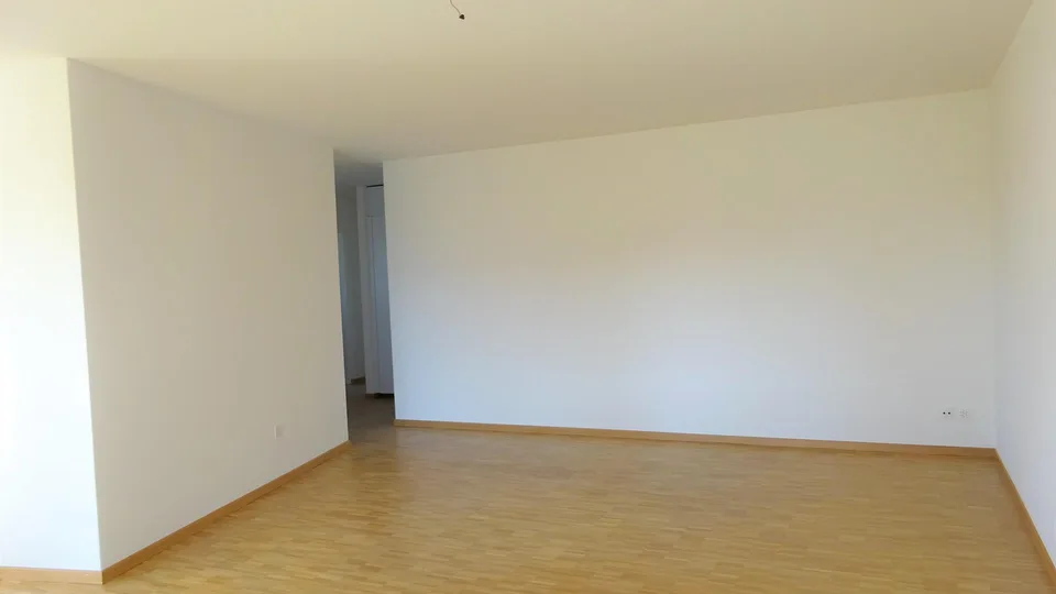 4.5 Zimmerwohnung in Winterthur