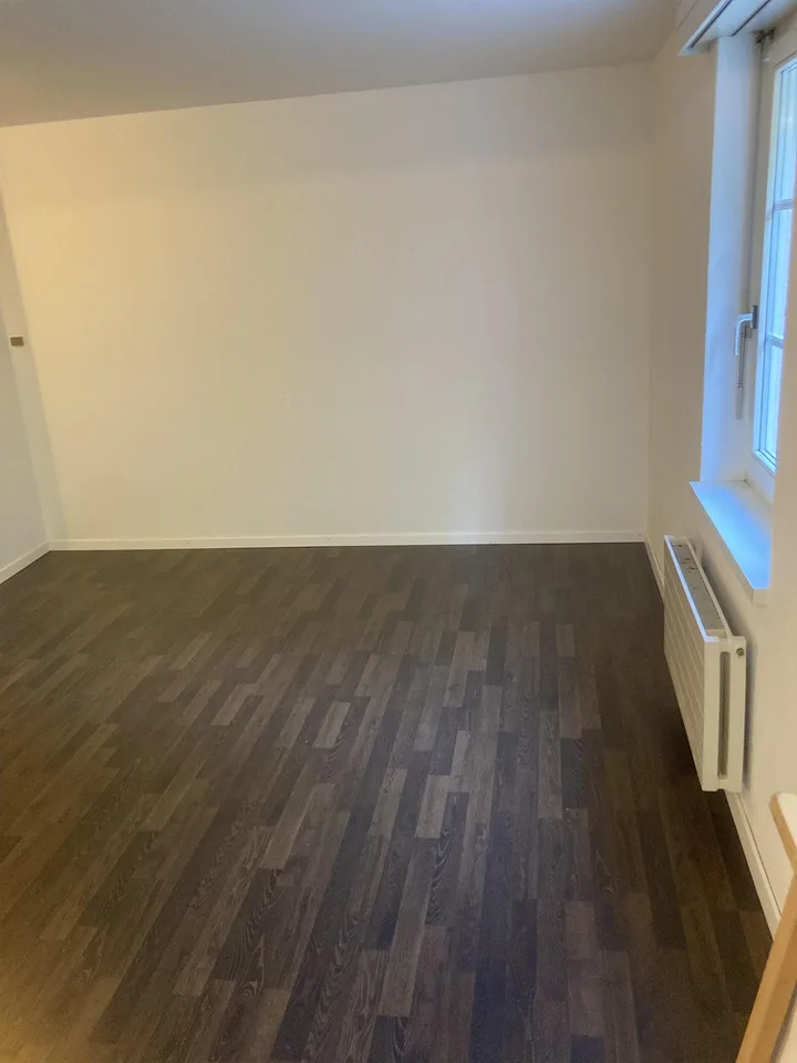 Gemütliche 1.5 Zi. Wohnung zu vermeiten