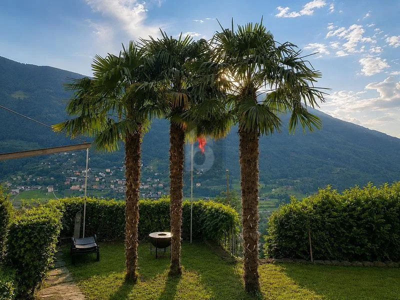 TRANQUILLA E SOLEGGIATA CON VISTA