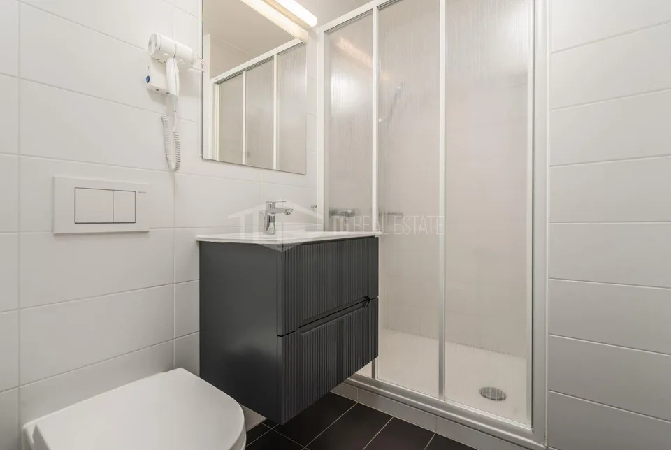 ELEGANTE 2.5 LOCALI NEL CUORE DI LUGANO | ELEGANTE 2.5 LOCALI NEL C...