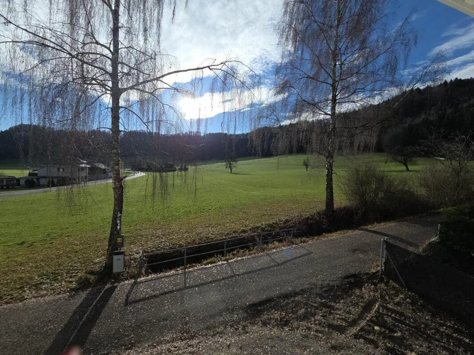 Zu verkaufen in 8362 Itaslen bei Balterswil, neues 5½ Zi.-ECK-EFH, ...