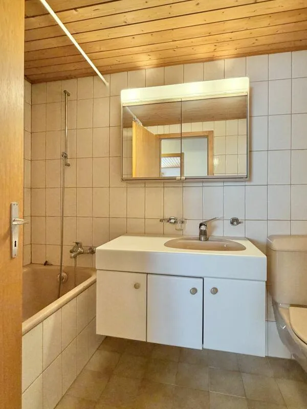 Bauernhaus Renovationsobjekt
