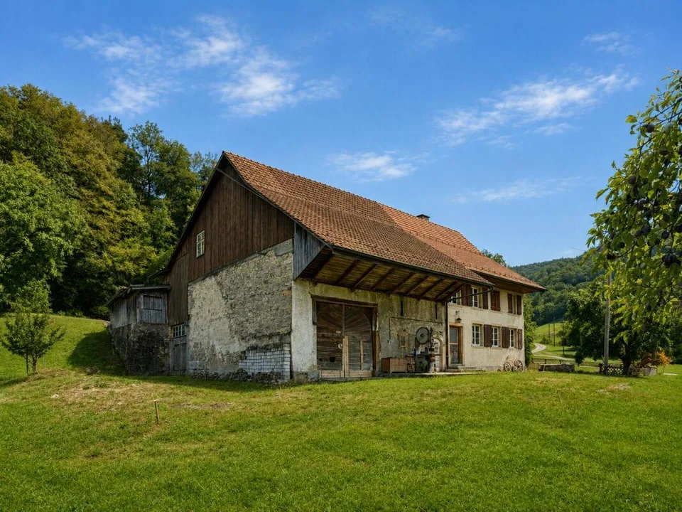 Bauernhaus Renovationsobjekt