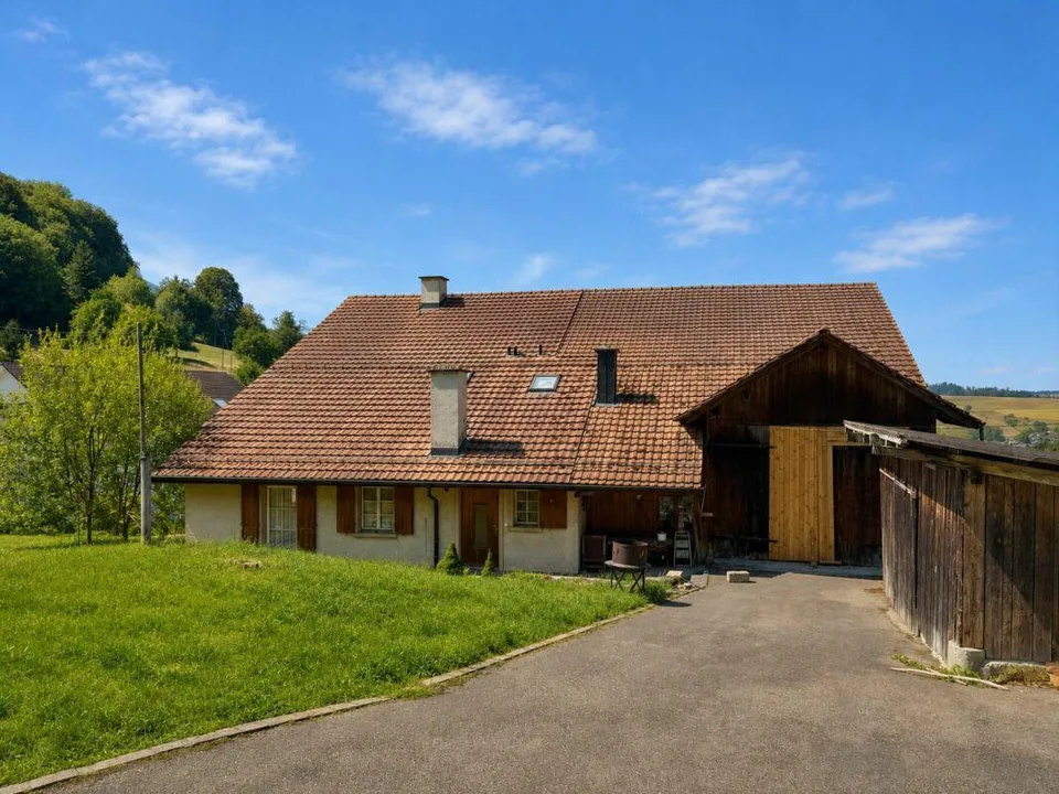 Bauernhaus Renovationsobjekt
