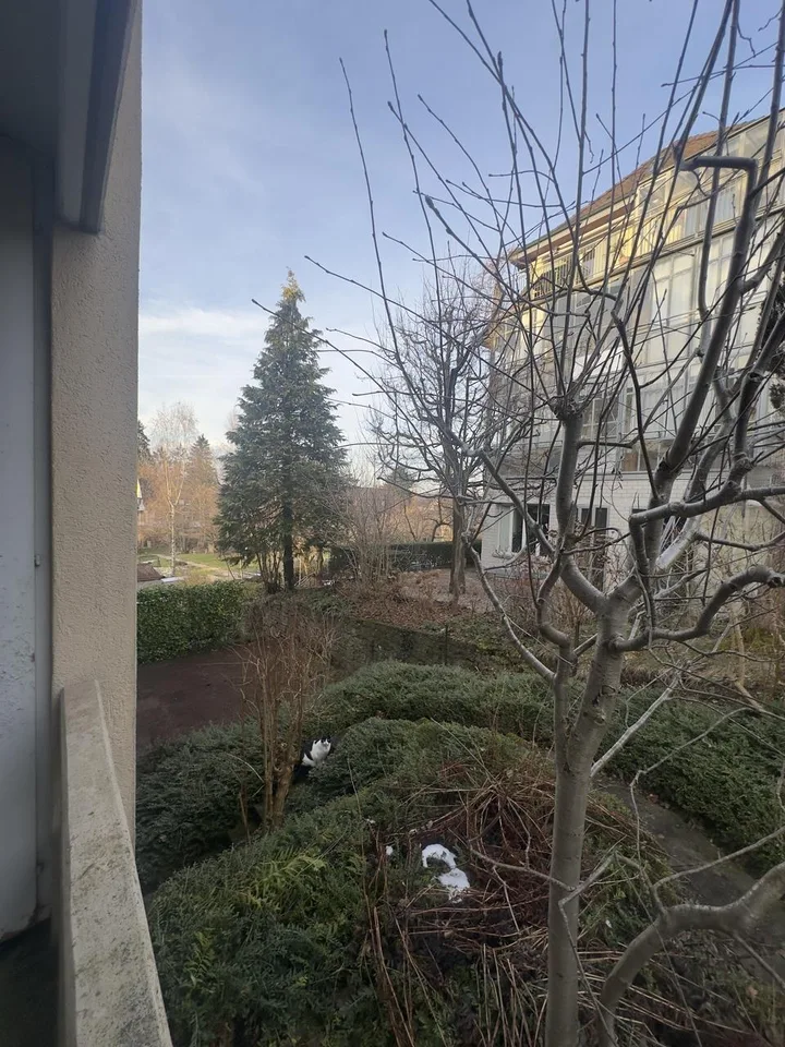 BEFRISTET: Ihr neues Zuhause im Wesemlinquartier (geplante Sanierung)