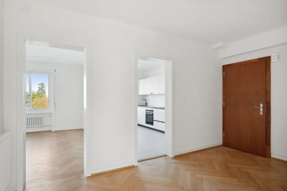 Superbe appartement rénové à la Servette