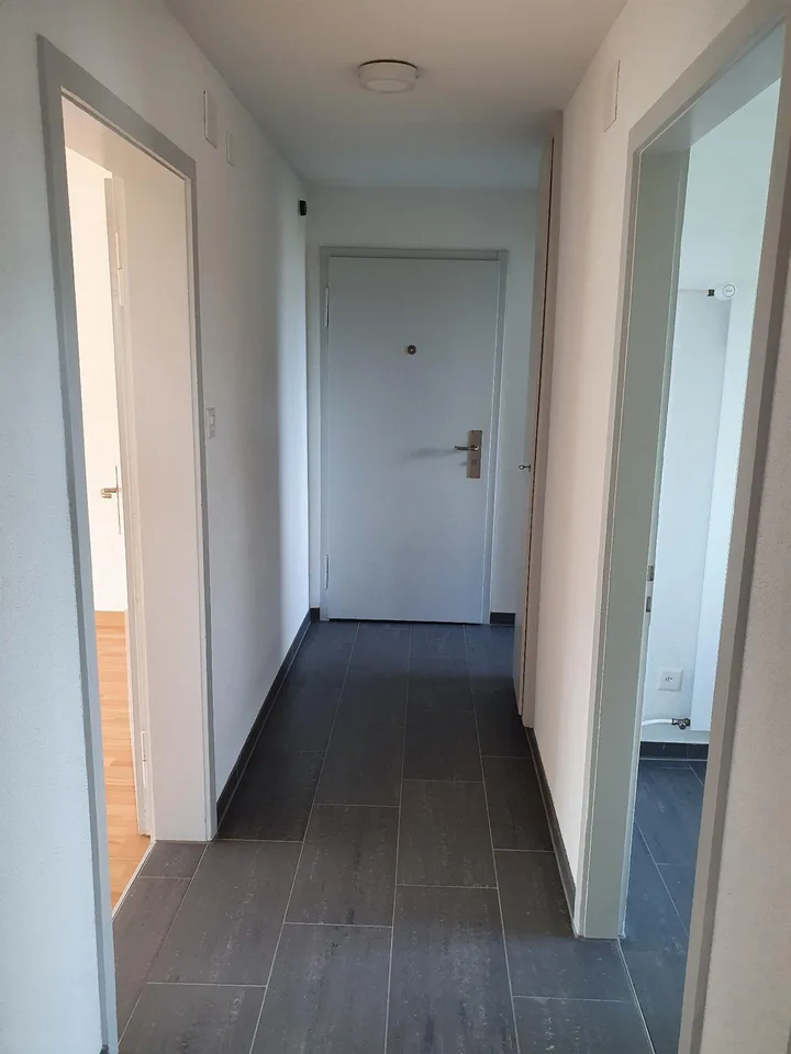 renovierte 3.0 Zi-Whg