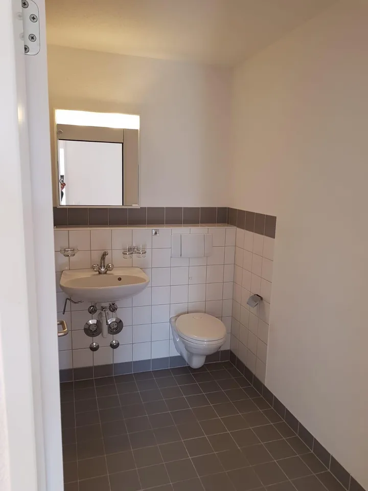 4.5 Zimmerwohnung in Schaffhausen
