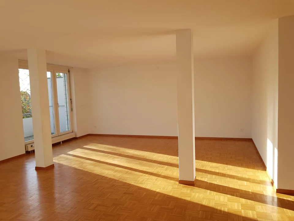 4.5 Zimmerwohnung in Schaffhausen