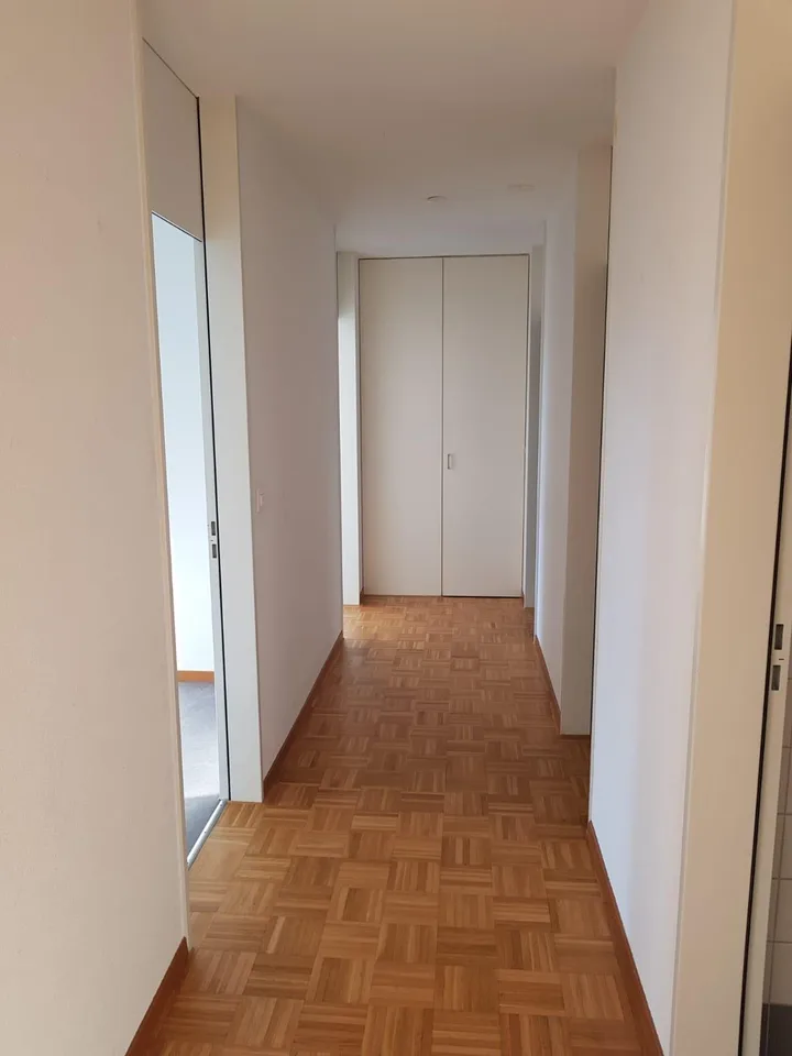 4.5 Zimmerwohnung in Schaffhausen