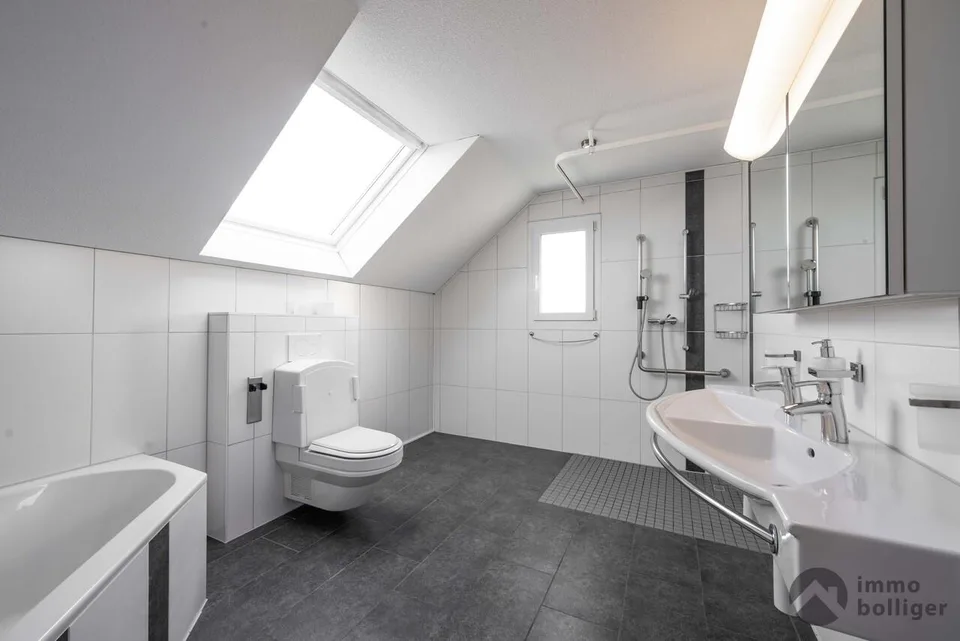 «Spitziges Haus an spitzer Lage»