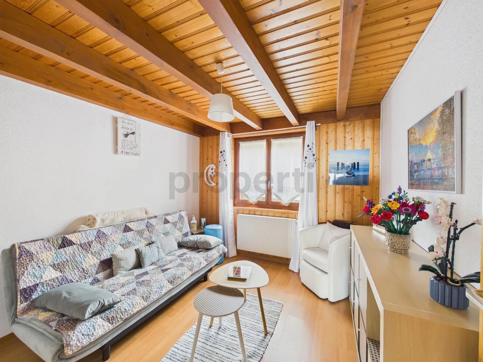 Panorama d'exeption - Beau duplex de 4.5 pièces à Sainte-Croix