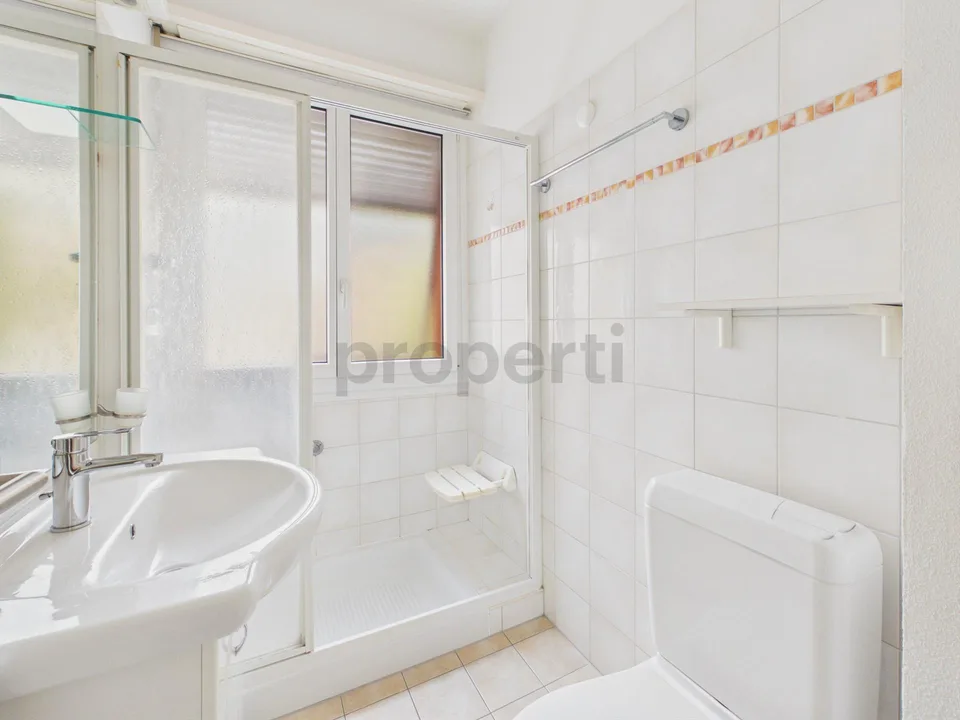 Elegant renovated apartment with balcony
