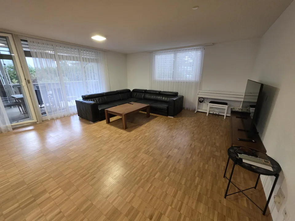 Grosse 4.5 Zi Wohnung in Widnau an bester Lage, NACHMIETER GESUCHT