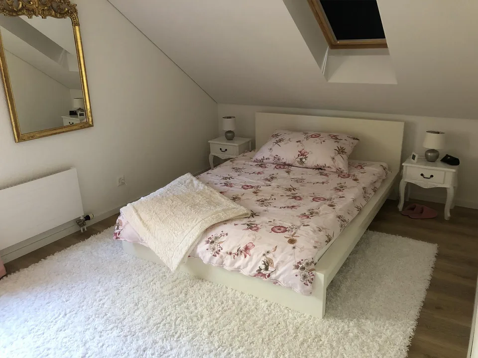 3.5 Zimmer Dachwohnung in Aadorf