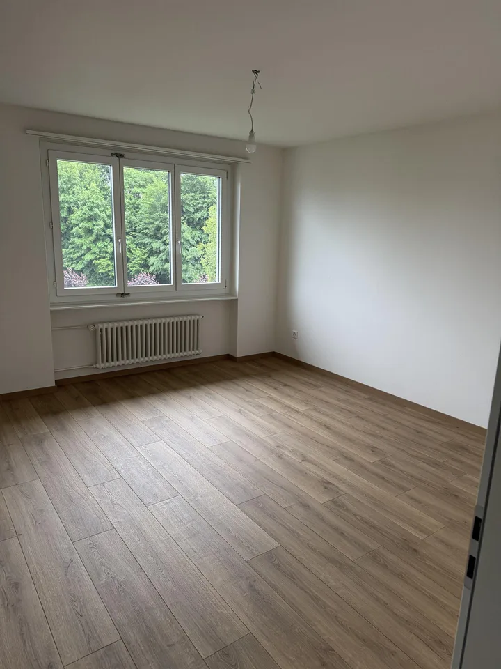Total renovierte 4.5 Zimmer Wohnung im Zentrum von Sargans