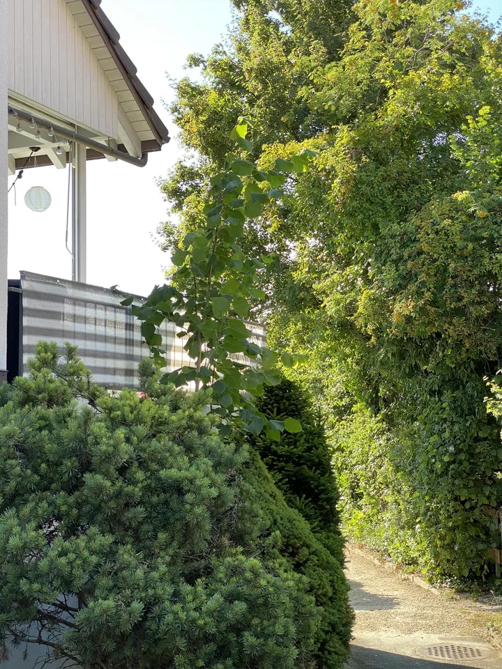 Wunderschöne 5.5 Zimmerwohnung im Herzen von Kaisten