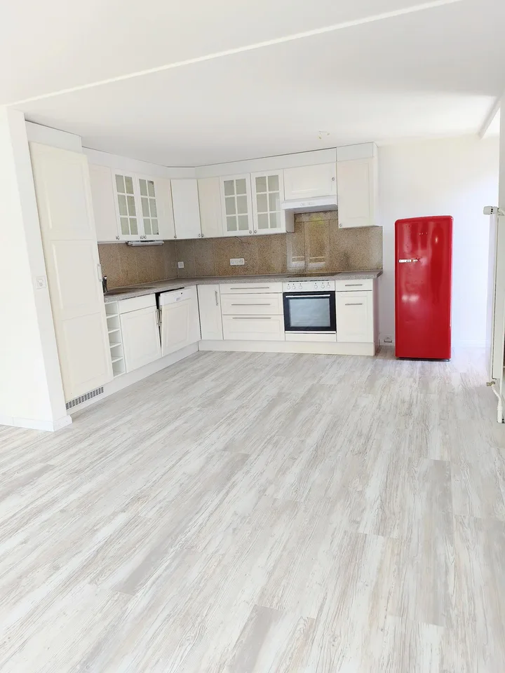 Schöne, neu renovierte 4 Zimmer Wohnung, Zentrumsnah