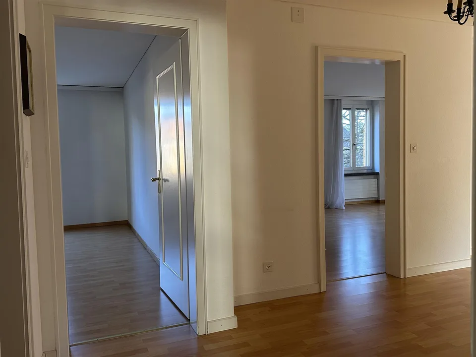 Grosszügige charmante Wohnung in ruhigem zentrumsnahen Quartier