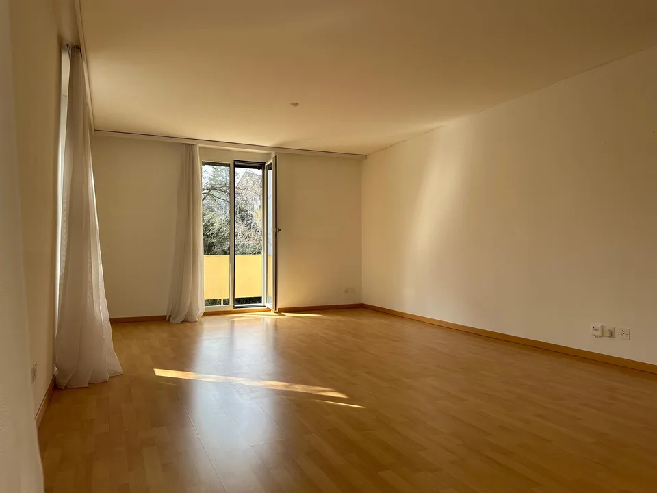 Grosszügige charmante Wohnung in ruhigem zentrumsnahen Quartier