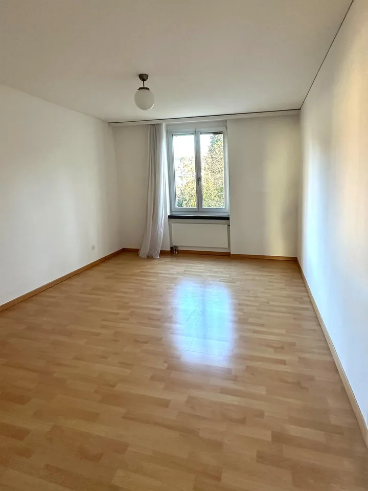 Grosszügige charmante Wohnung in ruhigem zentrumsnahen Quartier
