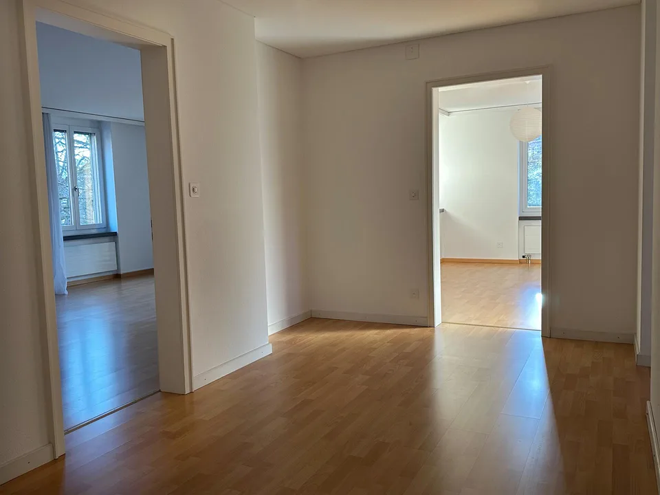 Grosszügige charmante Wohnung in ruhigem zentrumsnahen Quartier