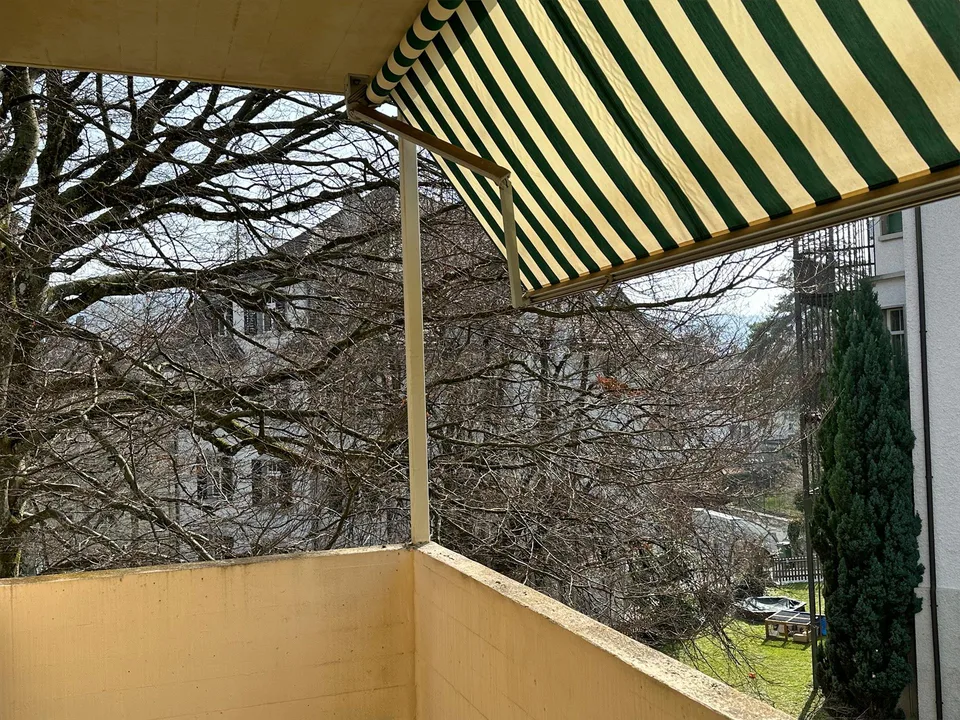 Grosszügige charmante Wohnung in ruhigem zentrumsnahen Quartier