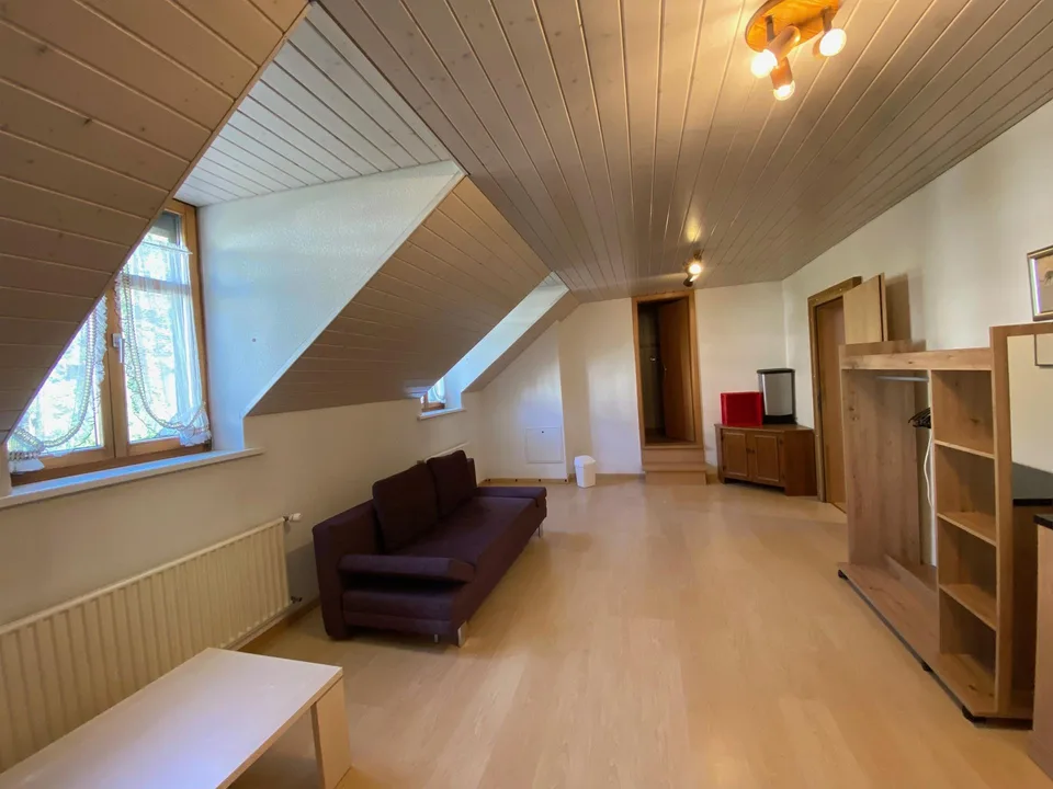 Ehemaliges Hotel Euler zum Eishof, Seewen SO – Foto 9 von 15