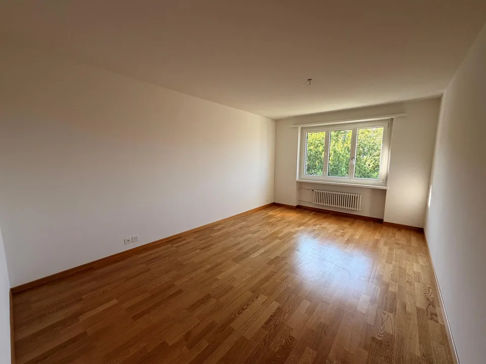 sonnige 3.5-Zimmerwohnung im Lützelmatt-Quartier