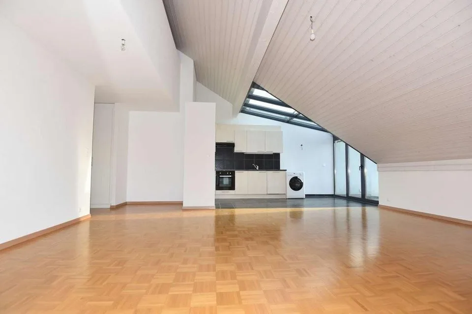 Duplex apartment with mezzanine
