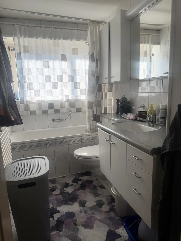 Cozy 4.5-room apartment in Feuerthalen