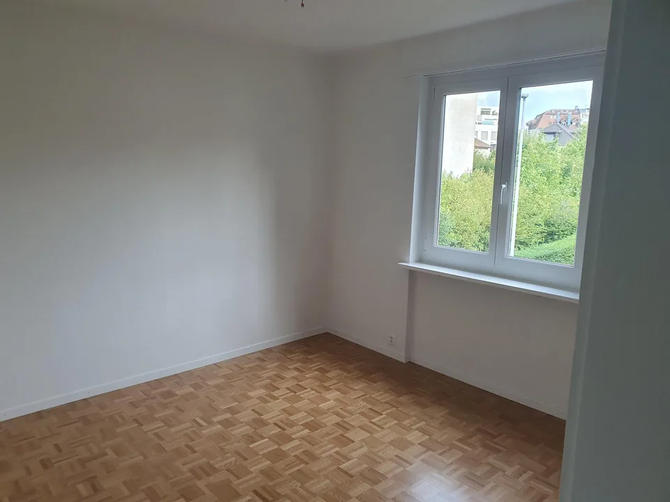 Neu renovierte 3.0-Zimmerwohnung in Brugg zu vermieten