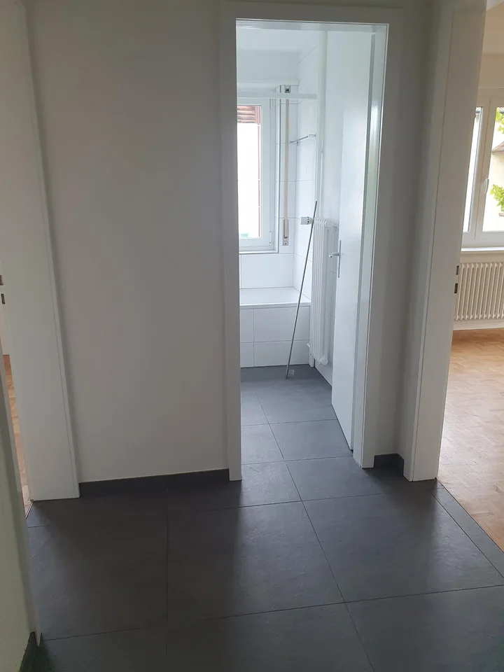 Neu renovierte 3.0-Zimmerwohnung in Brugg zu vermieten