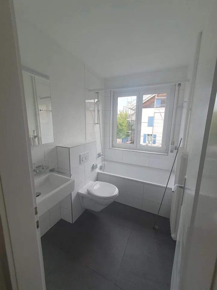 Neu renovierte 3.0-Zimmerwohnung in Brugg zu vermieten