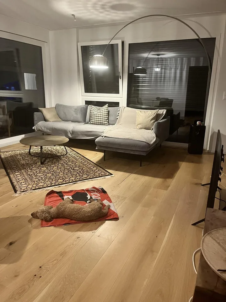 3 1/2 Zimmer exklusive Wohnung am Zürichsee mit Seezugang, gehoben