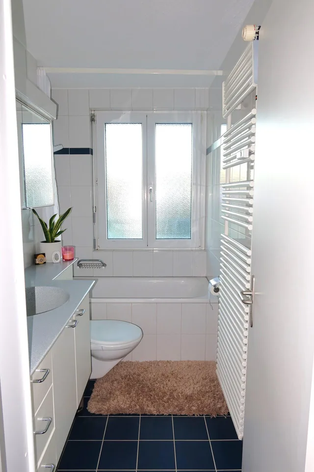 2.0 Zimmerwohnung in Thayngen