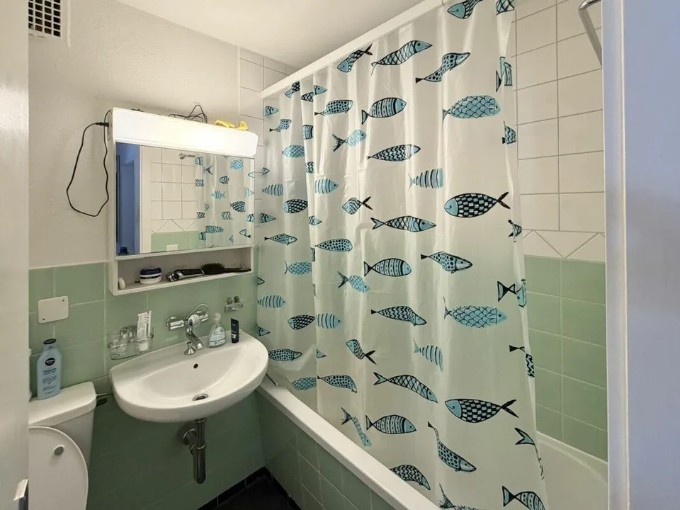 Rental property with unobstructable Rhine view and development potential