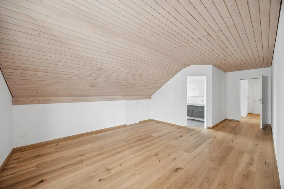 Grosszügige Dachwohnung - Erstvermietung nach Sanierung