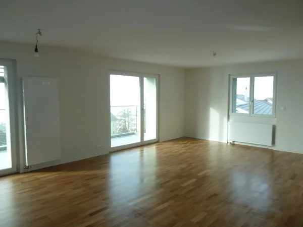 3.5 Zimmerwohnung mit traumhafter Aussicht in Vitznau