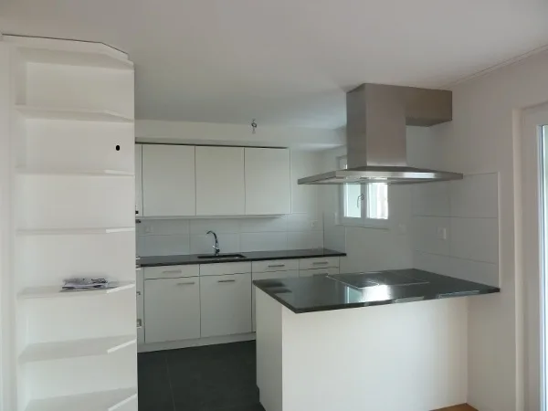 3.5 Zimmerwohnung mit traumhafter Aussicht in Vitznau