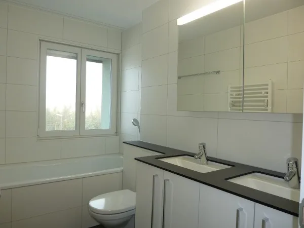 3.5 Zimmerwohnung mit traumhafter Aussicht in Vitznau