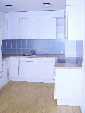 Grosszügige 2.5 Zimmer-Wohnung