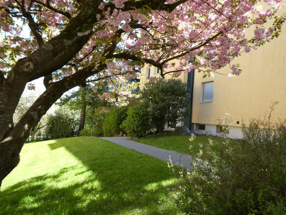 4.5-Zimmerwohnung mit TOP Preis-Leistungsverhältnis