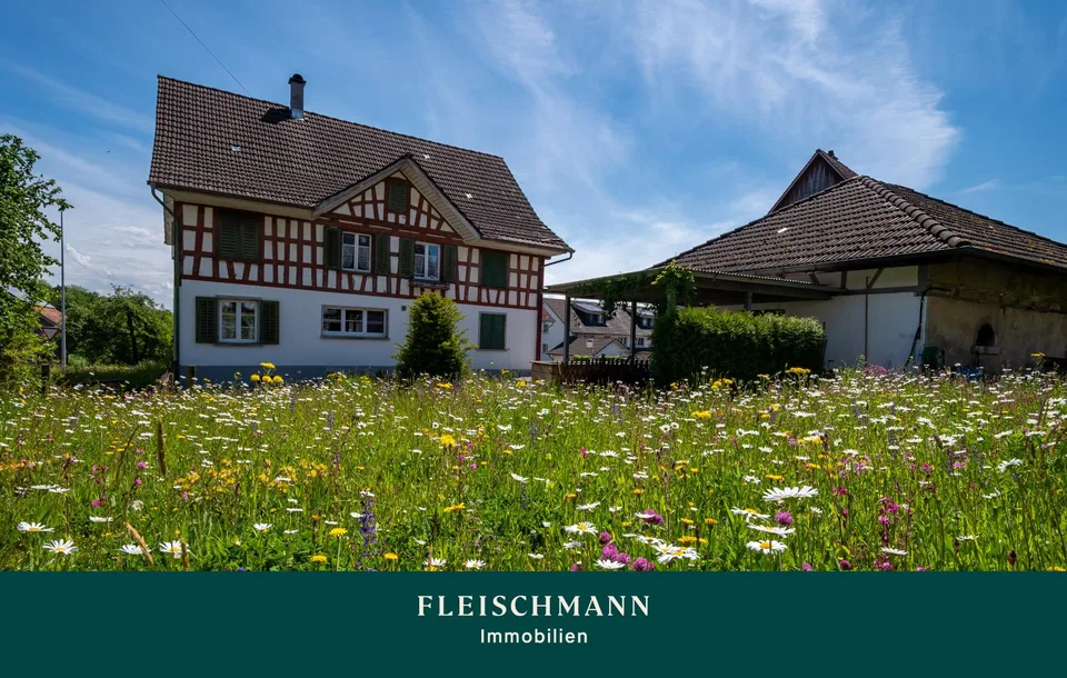 Charmantes Riegelhaus mit grossem Umschwung