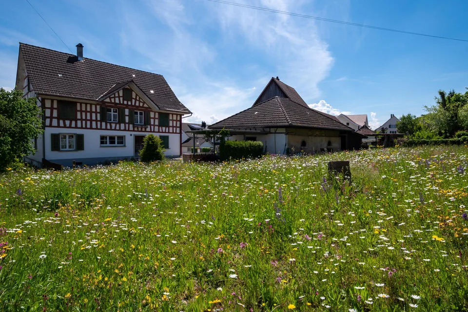Charmantes Riegelhaus mit grossem Umschwung