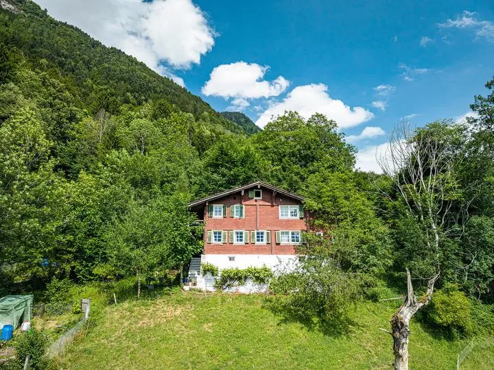 HOCH ÜBER DEM VIERWALDSTÄTTERSEE -  1'393 M² UMSCHWUNG