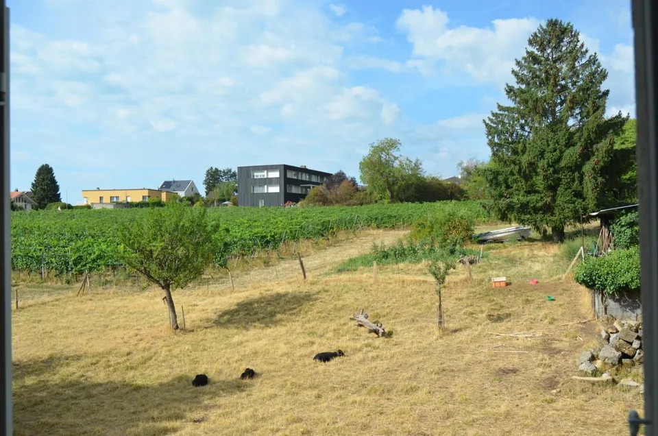 Prachtvolles Dachgeschoß-Duplex